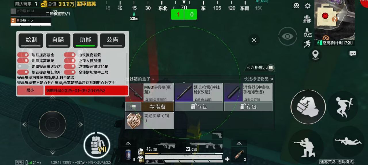 和平精英辅助【飞鸟】